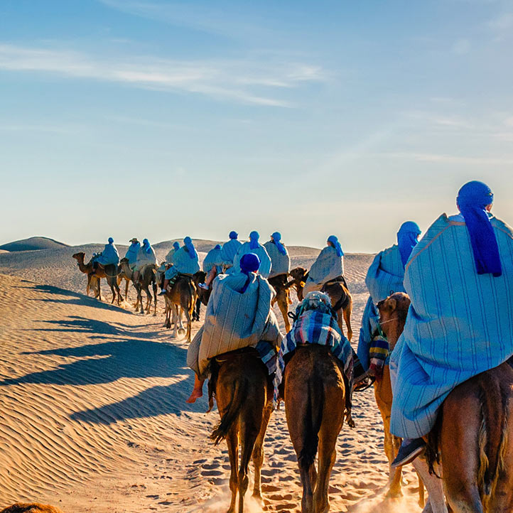 <p>VIP Desert Safari tour in Dubai offers are full of luxurious activities, However, VIP Arabian Nights Fun is for those tourists who want to actually celebrate their Dubai Vacations with their family and friends.</p>