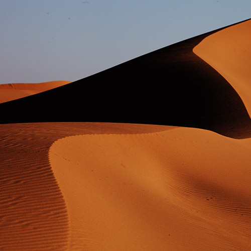 <p>Enjoy the Red Dune Desert Safari in Dubai and get stunned by the panoramic views of the Arabian Desert. </p>
