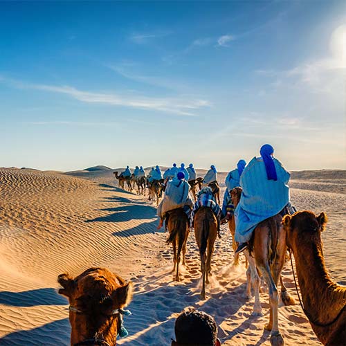 Desert safari in Dubai | VIP Desert Safari